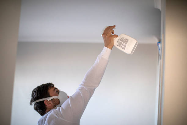 Best Professional Mold Removal  in Rome, NY