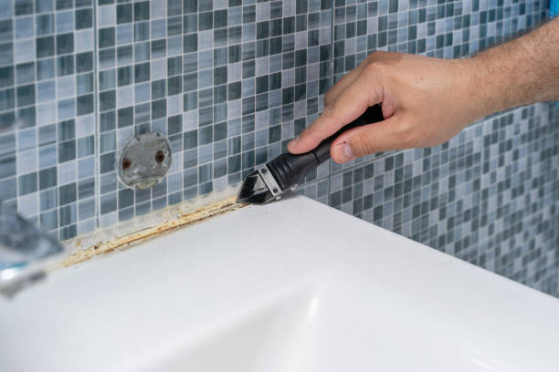 Best Mold Remediation  in Rome, NY